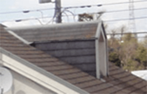 ハト小屋_photo